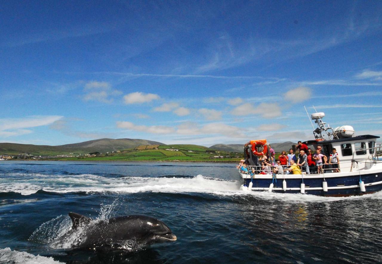 Dingle Harbour Cottages 3 Bed Sleeps 7 By Trident Holiday Homes المظهر الخارجي الصورة