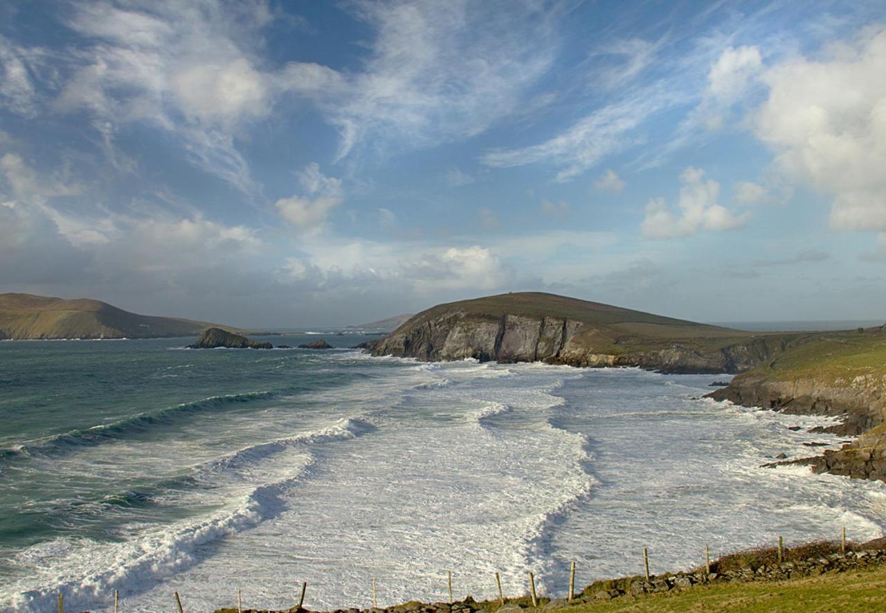 Dingle Harbour Cottages 3 Bed Sleeps 7 By Trident Holiday Homes المظهر الخارجي الصورة
